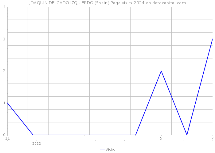 JOAQUIN DELGADO IZQUIERDO (Spain) Page visits 2024 