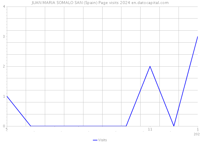 JUAN MARIA SOMALO SAN (Spain) Page visits 2024 