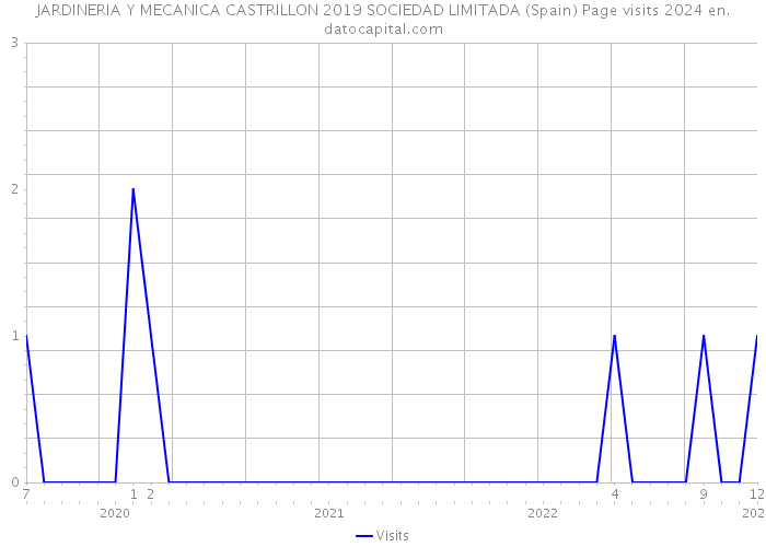 JARDINERIA Y MECANICA CASTRILLON 2019 SOCIEDAD LIMITADA (Spain) Page visits 2024 