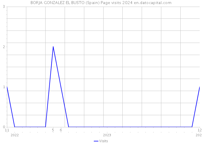 BORJA GONZALEZ EL BUSTO (Spain) Page visits 2024 