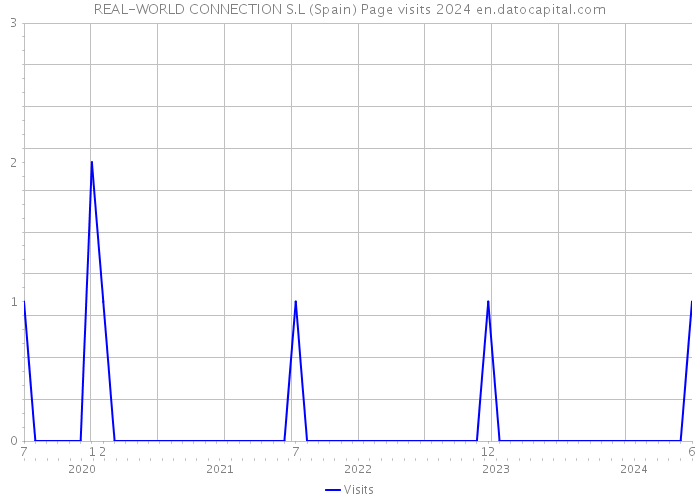 REAL-WORLD CONNECTION S.L (Spain) Page visits 2024 