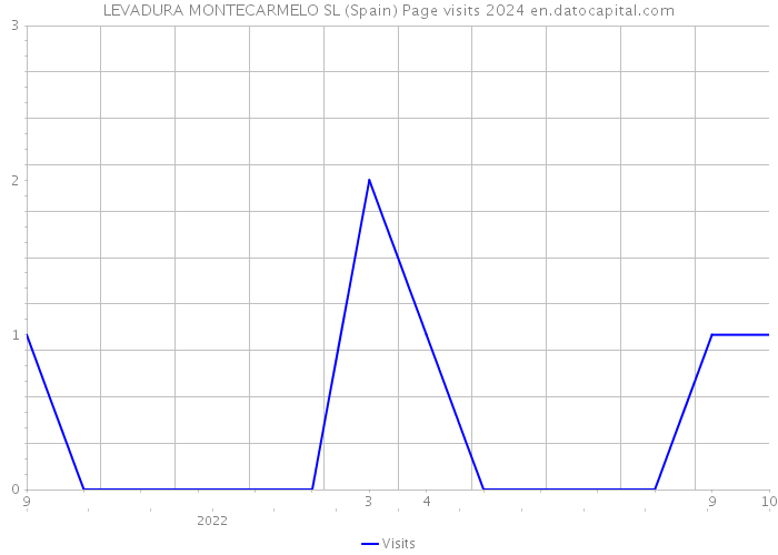 LEVADURA MONTECARMELO SL (Spain) Page visits 2024 
