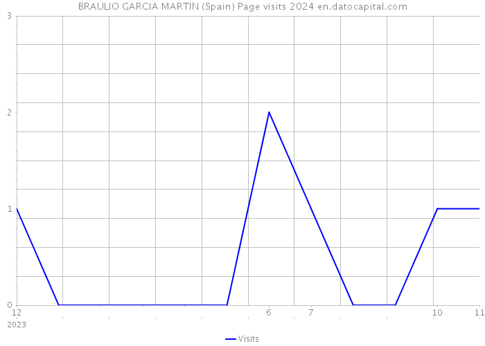BRAULIO GARCIA MARTIN (Spain) Page visits 2024 