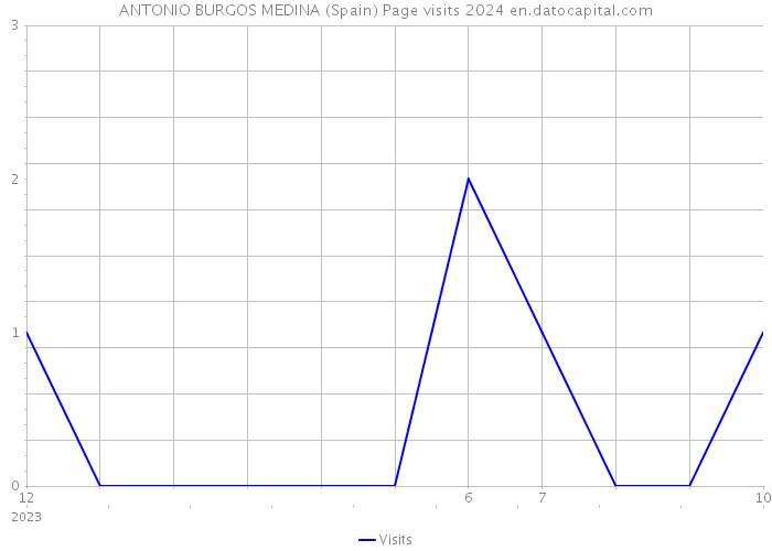ANTONIO BURGOS MEDINA (Spain) Page visits 2024 