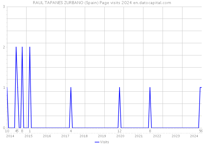 RAUL TAPANES ZURBANO (Spain) Page visits 2024 