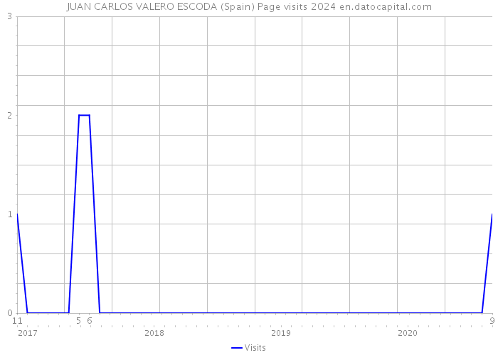 JUAN CARLOS VALERO ESCODA (Spain) Page visits 2024 