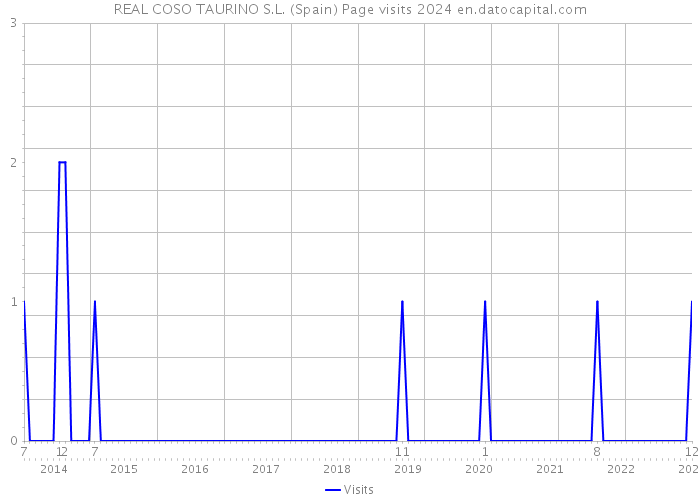 REAL COSO TAURINO S.L. (Spain) Page visits 2024 