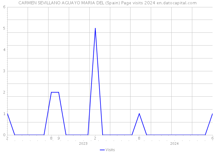 CARMEN SEVILLANO AGUAYO MARIA DEL (Spain) Page visits 2024 