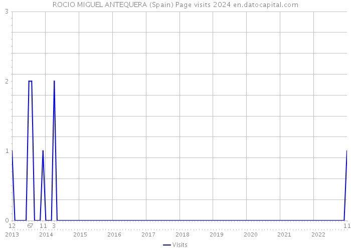 ROCIO MIGUEL ANTEQUERA (Spain) Page visits 2024 