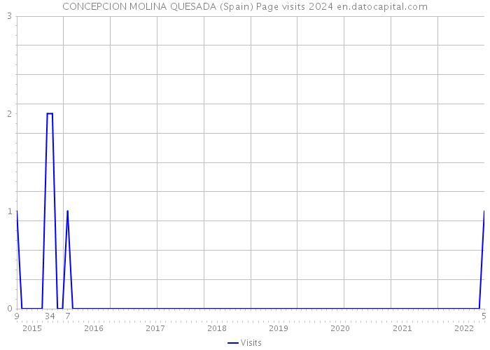 CONCEPCION MOLINA QUESADA (Spain) Page visits 2024 