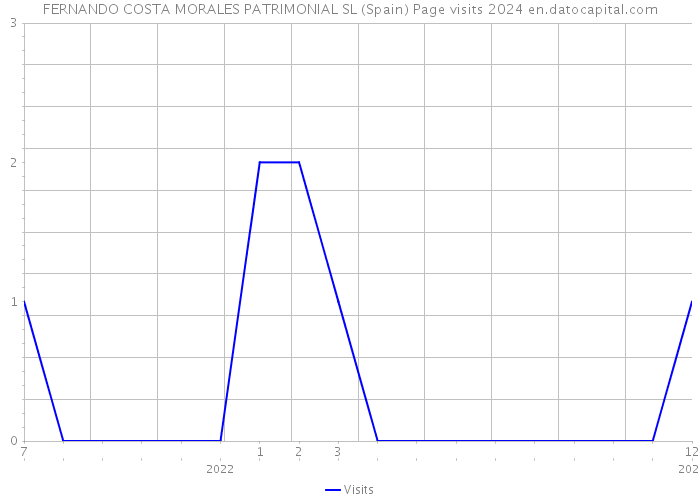FERNANDO COSTA MORALES PATRIMONIAL SL (Spain) Page visits 2024 