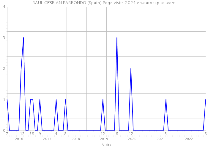 RAUL CEBRIAN PARRONDO (Spain) Page visits 2024 