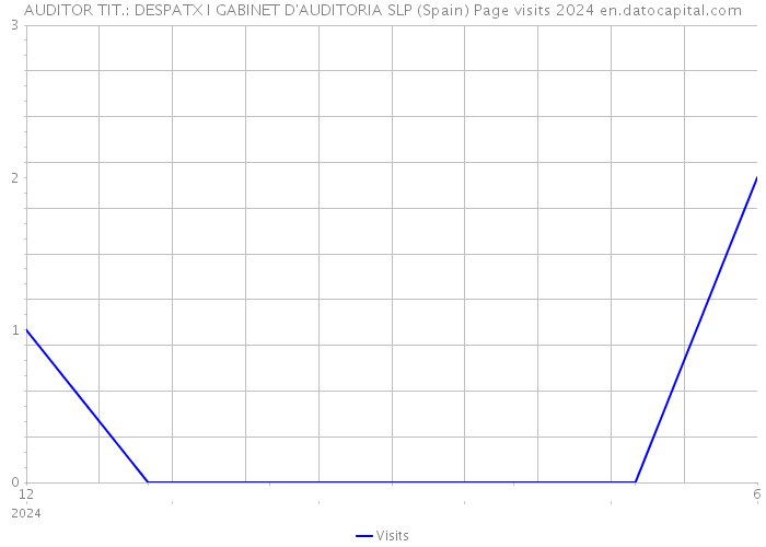 AUDITOR TIT.: DESPATX I GABINET D'AUDITORIA SLP (Spain) Page visits 2024 