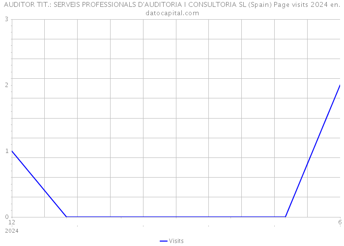 AUDITOR TIT.: SERVEIS PROFESSIONALS D'AUDITORIA I CONSULTORIA SL (Spain) Page visits 2024 