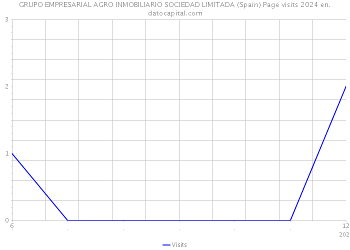 GRUPO EMPRESARIAL AGRO INMOBILIARIO SOCIEDAD LIMITADA (Spain) Page visits 2024 