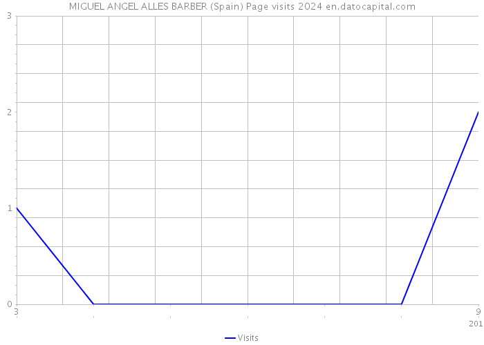 MIGUEL ANGEL ALLES BARBER (Spain) Page visits 2024 