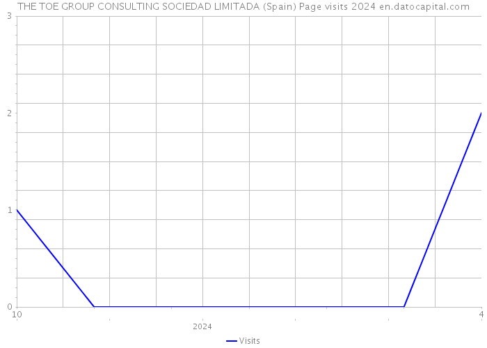 THE TOE GROUP CONSULTING SOCIEDAD LIMITADA (Spain) Page visits 2024 