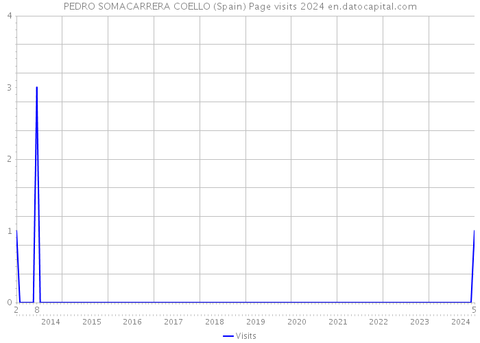 PEDRO SOMACARRERA COELLO (Spain) Page visits 2024 