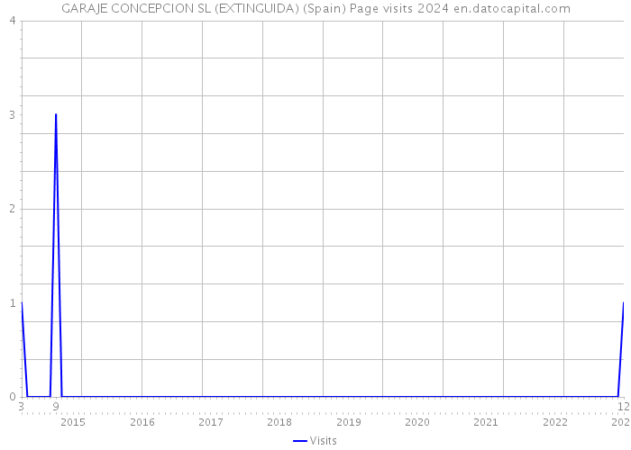 GARAJE CONCEPCION SL (EXTINGUIDA) (Spain) Page visits 2024 