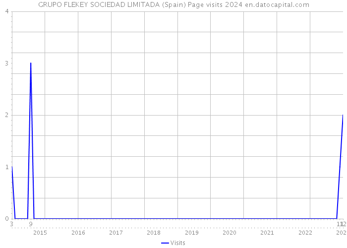 GRUPO FLEKEY SOCIEDAD LIMITADA (Spain) Page visits 2024 