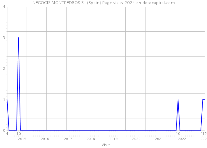 NEGOCIS MONTPEDROS SL (Spain) Page visits 2024 
