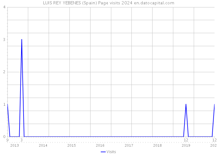 LUIS REY YEBENES (Spain) Page visits 2024 