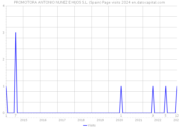 PROMOTORA ANTONIO NUNEZ E HIJOS S.L. (Spain) Page visits 2024 