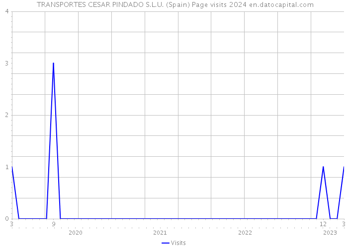  TRANSPORTES CESAR PINDADO S.L.U. (Spain) Page visits 2024 