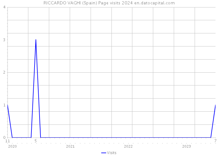 RICCARDO VAGHI (Spain) Page visits 2024 