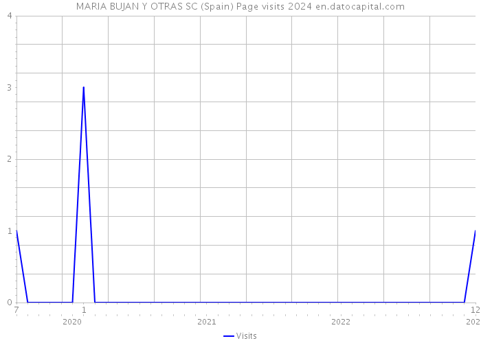 MARIA BUJAN Y OTRAS SC (Spain) Page visits 2024 