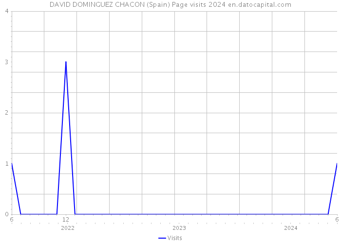 DAVID DOMINGUEZ CHACON (Spain) Page visits 2024 