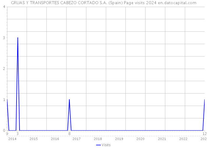 GRUAS Y TRANSPORTES CABEZO CORTADO S.A. (Spain) Page visits 2024 
