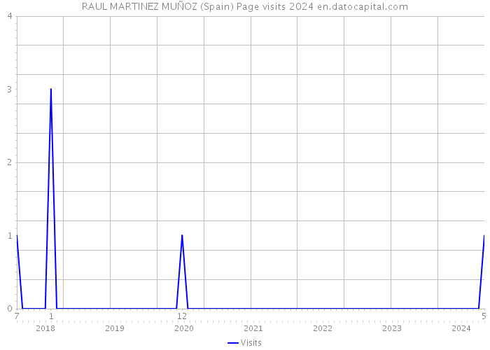 RAUL MARTINEZ MUÑOZ (Spain) Page visits 2024 