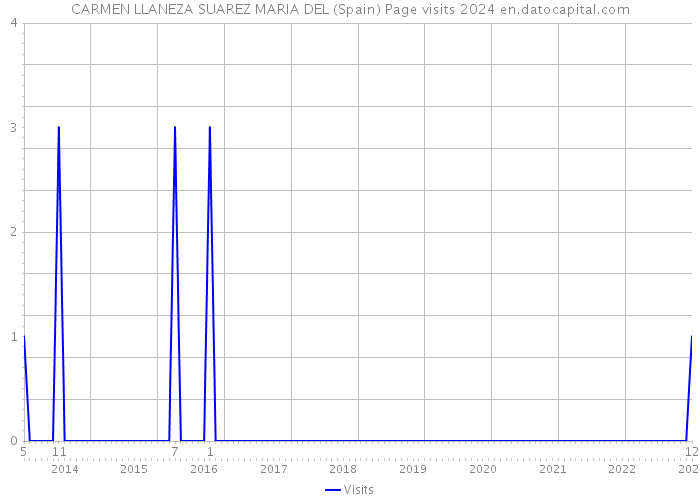 CARMEN LLANEZA SUAREZ MARIA DEL (Spain) Page visits 2024 