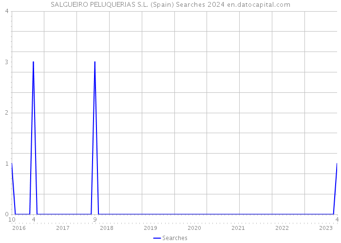 SALGUEIRO PELUQUERIAS S.L. (Spain) Searches 2024 