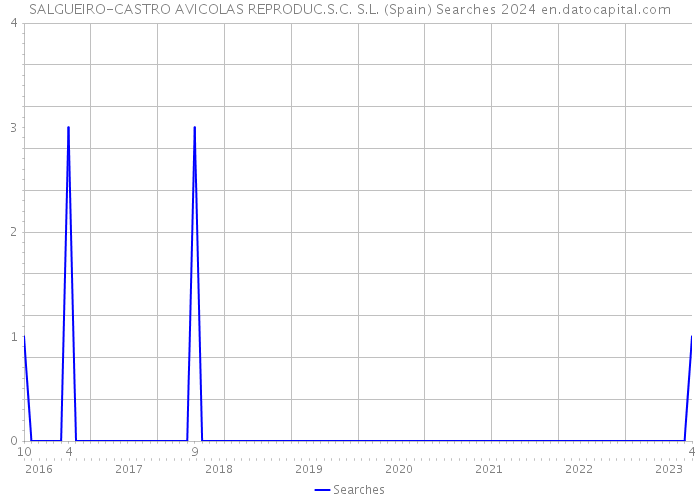 SALGUEIRO-CASTRO AVICOLAS REPRODUC.S.C. S.L. (Spain) Searches 2024 