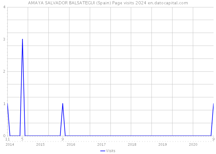 AMAYA SALVADOR BALSATEGUI (Spain) Page visits 2024 