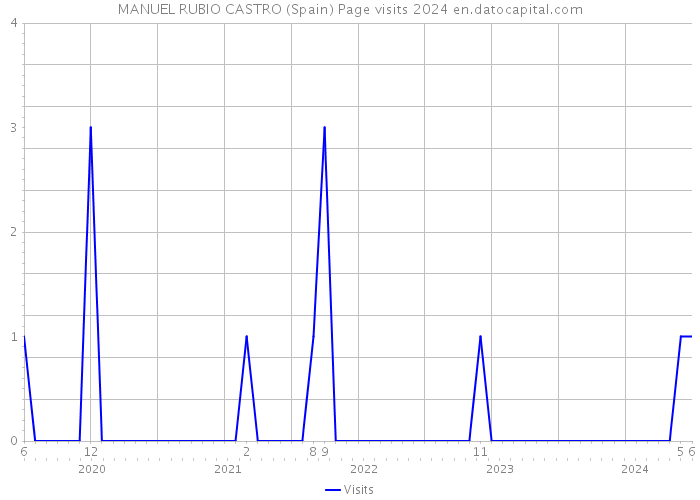 MANUEL RUBIO CASTRO (Spain) Page visits 2024 