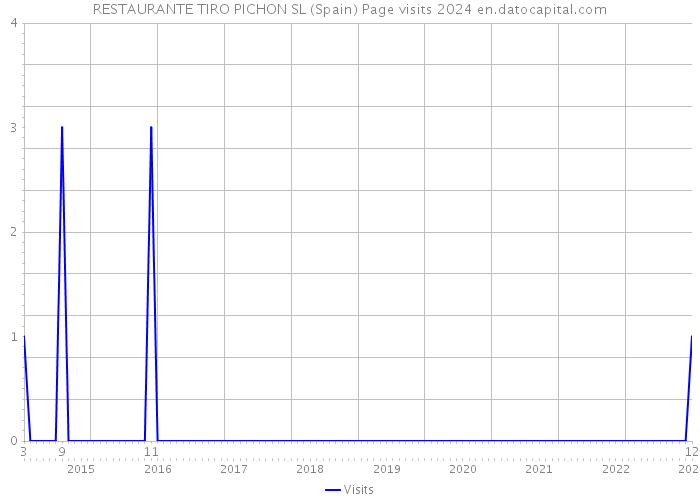 RESTAURANTE TIRO PICHON SL (Spain) Page visits 2024 