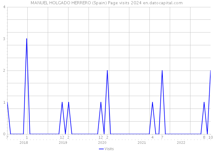 MANUEL HOLGADO HERRERO (Spain) Page visits 2024 