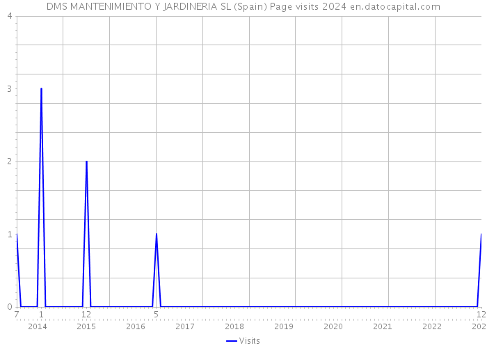 DMS MANTENIMIENTO Y JARDINERIA SL (Spain) Page visits 2024 