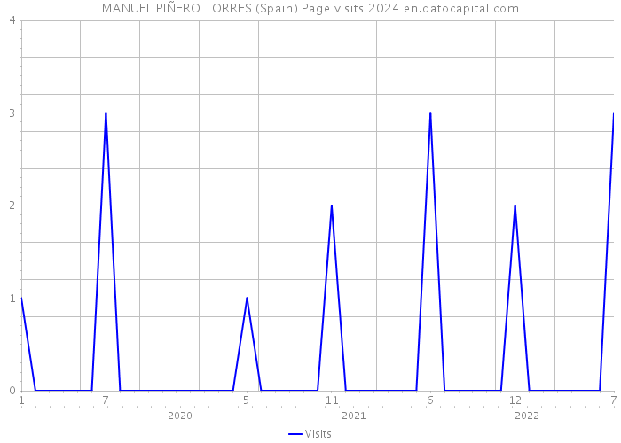 MANUEL PIÑERO TORRES (Spain) Page visits 2024 