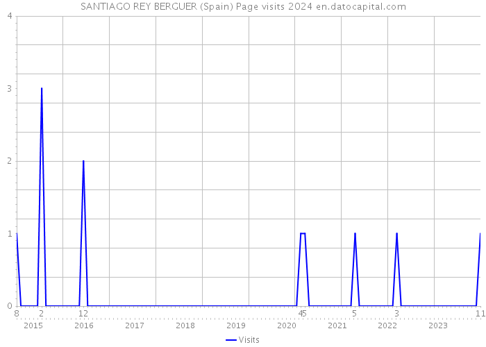 SANTIAGO REY BERGUER (Spain) Page visits 2024 