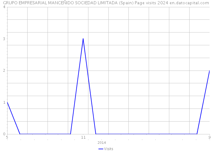 GRUPO EMPRESARIAL MANCEÑIDO SOCIEDAD LIMITADA (Spain) Page visits 2024 