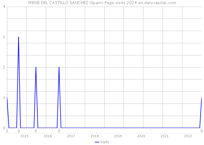 IRENE DEL CASTILLO SANCHEZ (Spain) Page visits 2024 