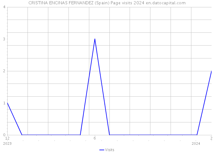 CRISTINA ENCINAS FERNANDEZ (Spain) Page visits 2024 
