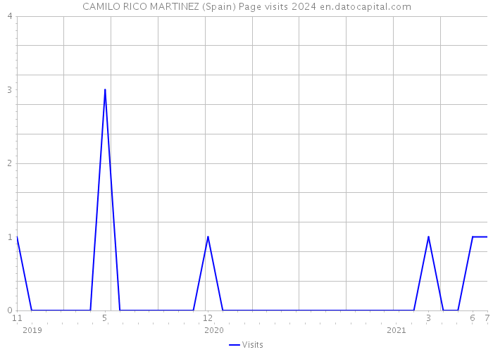 CAMILO RICO MARTINEZ (Spain) Page visits 2024 