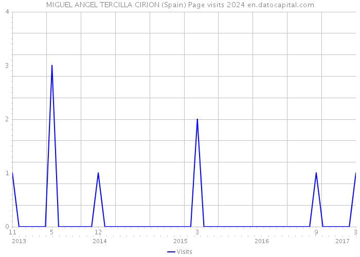 MIGUEL ANGEL TERCILLA CIRION (Spain) Page visits 2024 