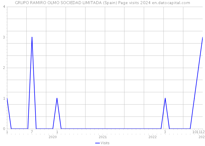 GRUPO RAMIRO OLMO SOCIEDAD LIMITADA (Spain) Page visits 2024 