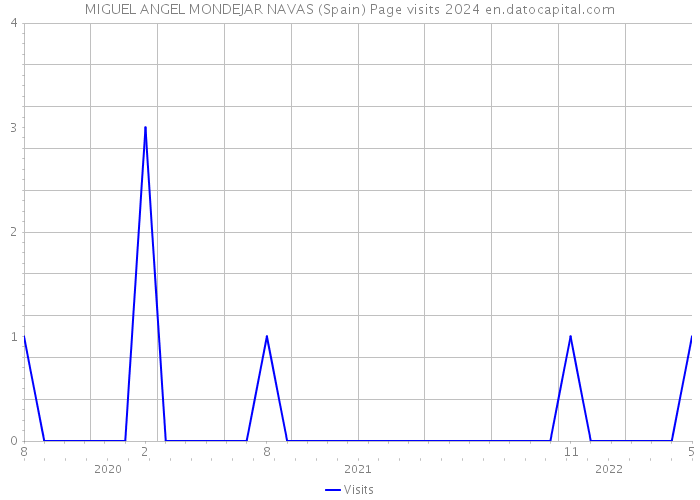MIGUEL ANGEL MONDEJAR NAVAS (Spain) Page visits 2024 